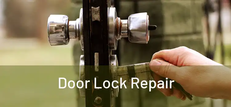 Door Lock Repair