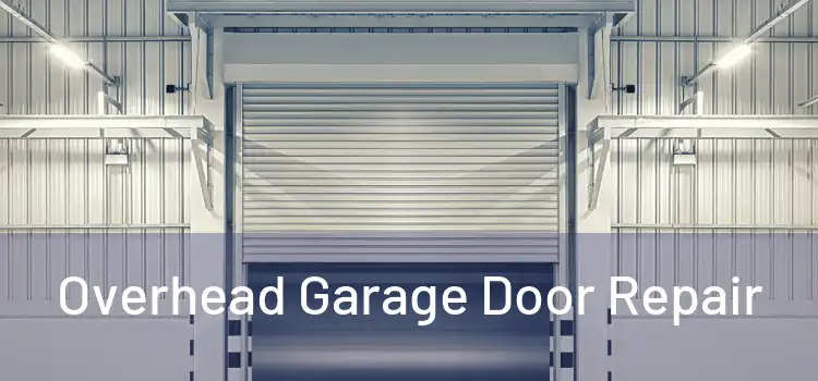  Overhead Garage Door Repair 